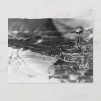 水かわいらし ポストカード