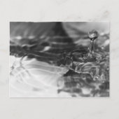 水かわいらし ポストカード (正面)