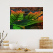 水が広いプリント ポスター (キッチン)