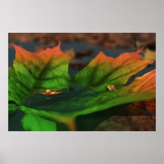 水が広いプリント ポスター (正面)