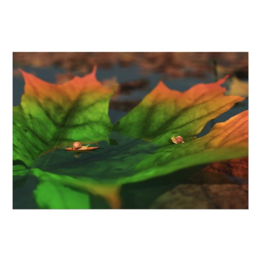 水が広い写真プリント フォトプリント            (正面)