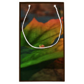 水が広い抱き枕 スモールペーパーバッグ (裏面)