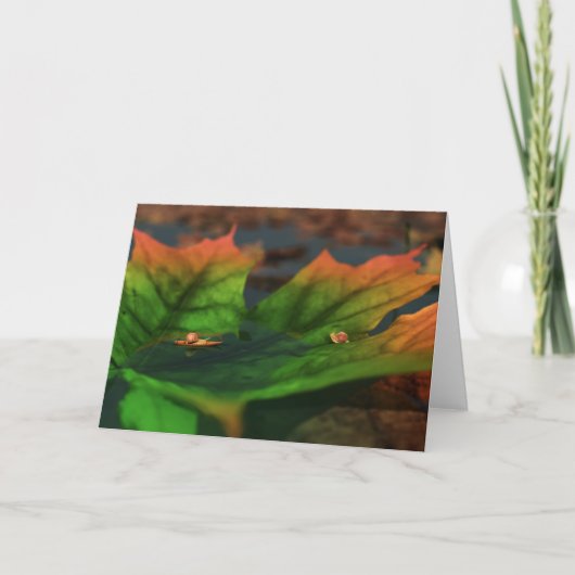 水が広い カード (正面)