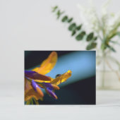 水が滴る花びら ポストカード (スタンド正面)