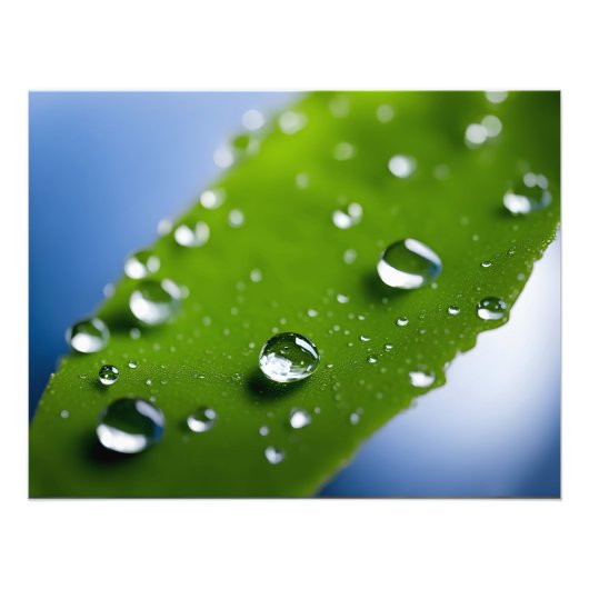 水が滴葉る フォトプリント            (正面)