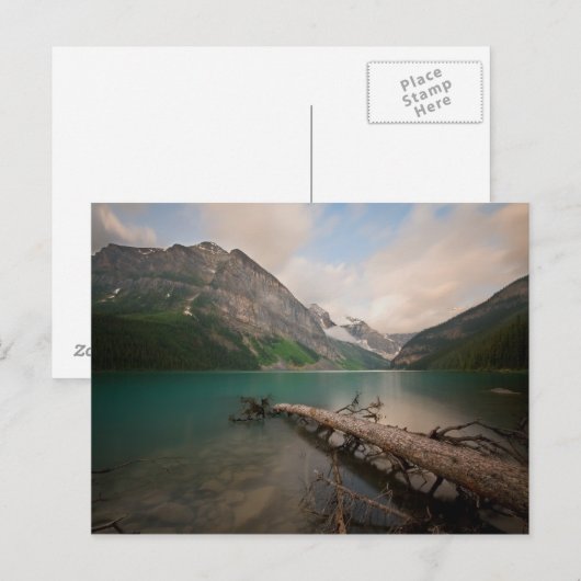 水が詰まった ポストカード (正面/裏面)