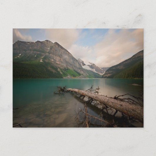 水が詰まった ポストカード (正面)