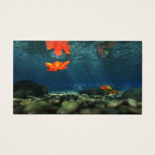 水しおりの炎 (正面)