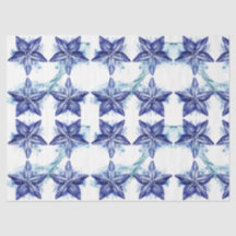 水しぶきの貝殻