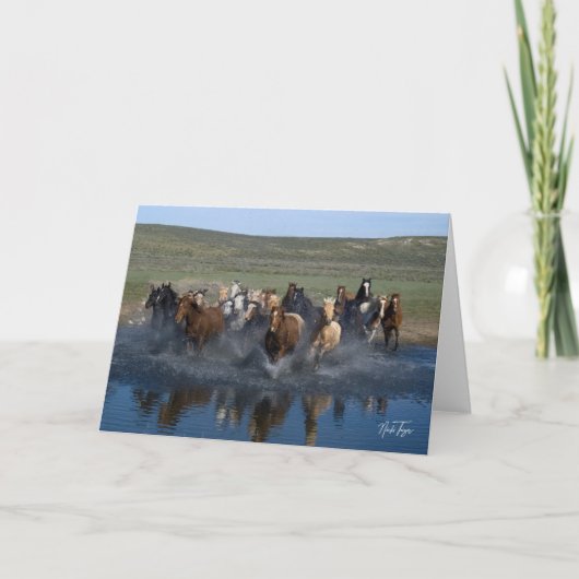 水しぶきメモカード サンキューカード (正面)