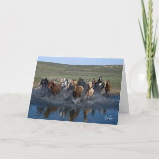 水しぶきメモカード サンキューカード