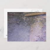 水たまりに雨が降る ポストカード (正面/裏面)
