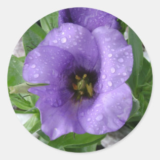 水だけで済んだ ラウンドシール