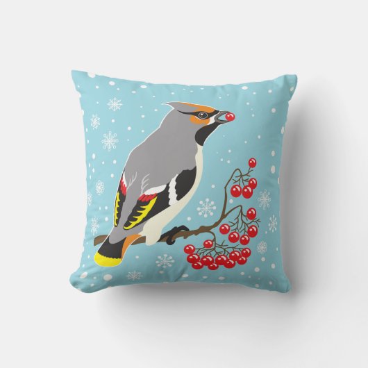 水で洗う クッション (正面)