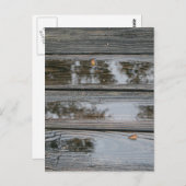 水で濡れた木材の背景イメージ ポストカード (正面/裏面)