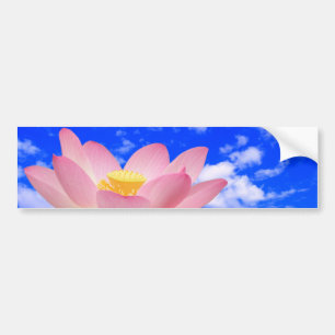 水で生まれるはすの花 バンパーステッカー