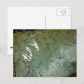 水で覆われた岩スラブの自然写真 ポストカード (正面/裏面)