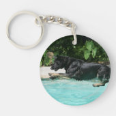水で跳んでいるジャーマン・シェパード キーホルダー (正面)