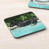 水で跳んでいるジャーマン・シェパード コースター (左側)