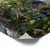 水と木 ポスター (角)