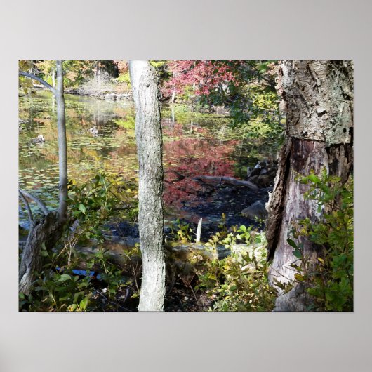 水と木 ポスター (正面)