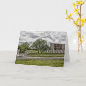 水と遊んでいるイルカ カード (黄色い花)