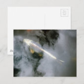 水と雲に浮かぶ銀魚 ポストカード (正面/裏面)