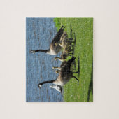 水による草のカナダのガチョウ ジグソーパズル (縦)