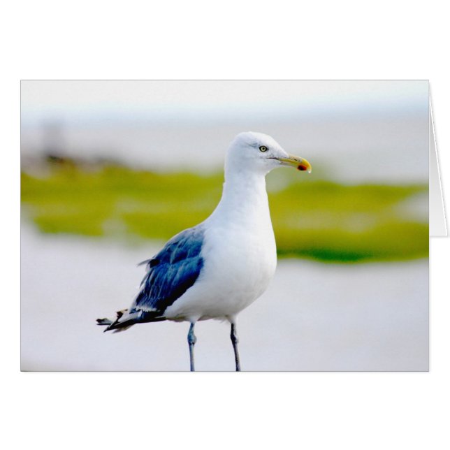 水による鳥 (正面横)