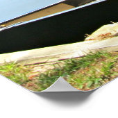 水にカヌーとサニーサマーデイ。 ポスター (角)