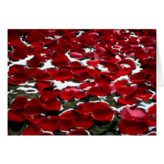 水にバラの花びら