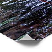 水にピンクのフラミンゴ ポスター (角)