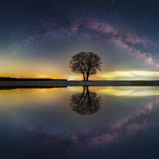 水に反射する星 ポスター