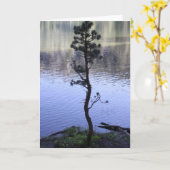 水に反射 カード (黄色い花)