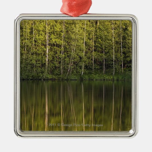 水に反映される木 メタルオーナメント (正面)