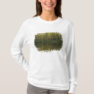 水に反映される木 Tシャツ