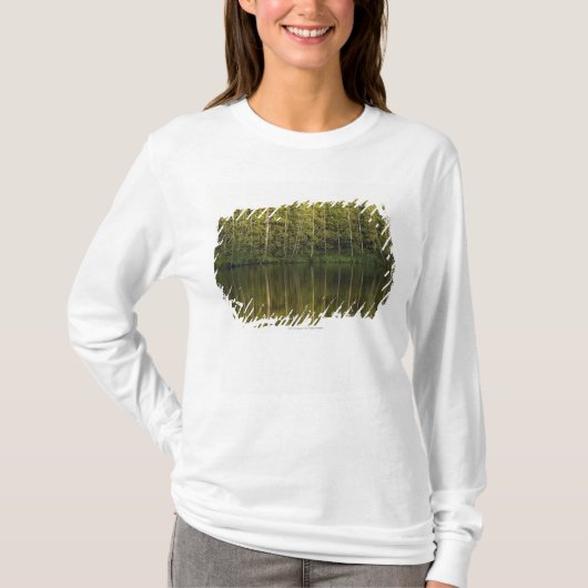 水に反映される木 Tシャツ (正面)