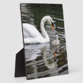 水に巣を作って白鳥をミュート フォトプラーク (側面)