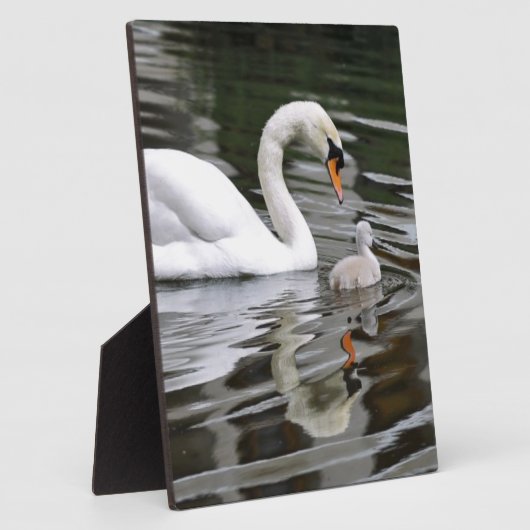 水に巣を作って白鳥をミュート フォトプラーク (側面)