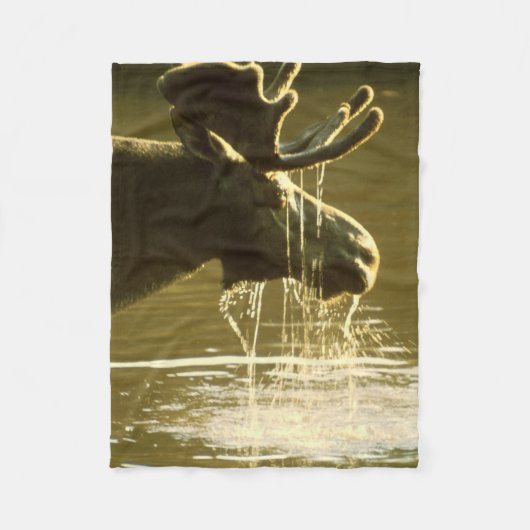 水に彼の頭部を浸しているアメリカヘラジカ フリースブランケット (正面)