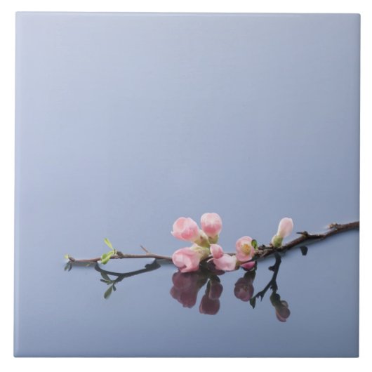 水に桜 タイル (正面)