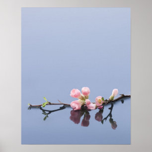 水に桜 ポスター