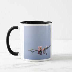 水に桜 マグカップ