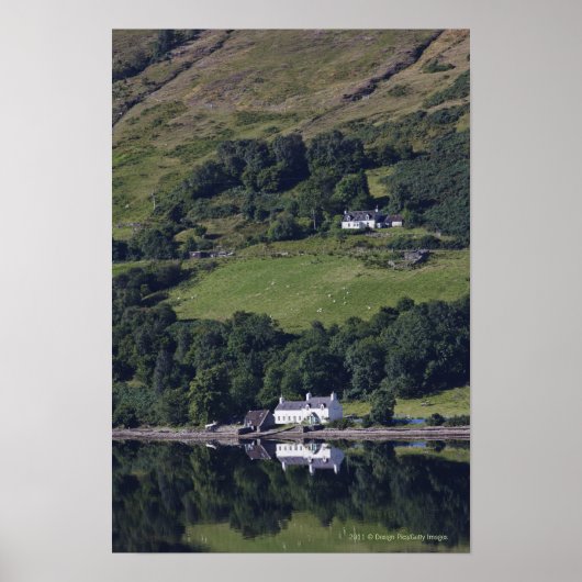 水に沿った家 ポスター (正面)