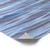 水に浮かぶ鳥のポスター ポスター (角)