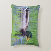 水に浮かんでいるオスのマガモのアヒル アクセントクッション (裏面(縦))