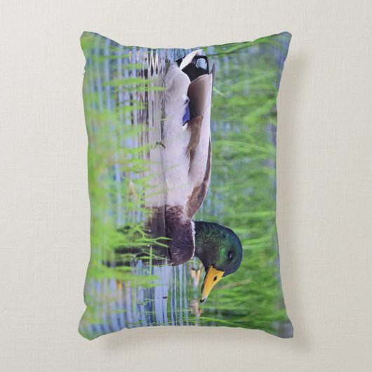 水に浮かんでいるオスのマガモのアヒル アクセントクッション (正面(垂直))