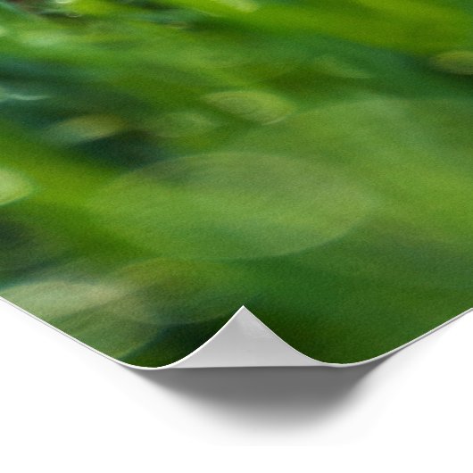 水に浸すと草はいつも緑になる ポスター (角)