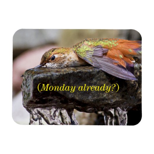 水に潜るハミングバード2 マグネット (横)