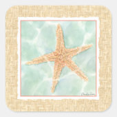 水に航海のおけるヒトデ スクエアシール (正面)